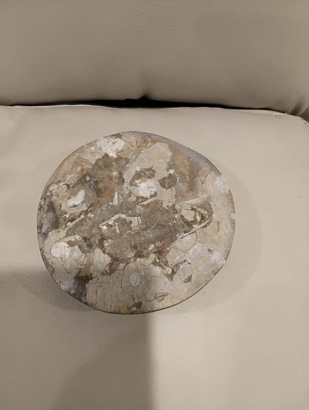 Vintage Cephalopod Shell Fossil Paperweight Firm Price